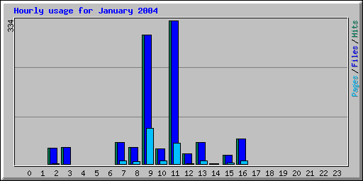 Hourly usage for January 2004