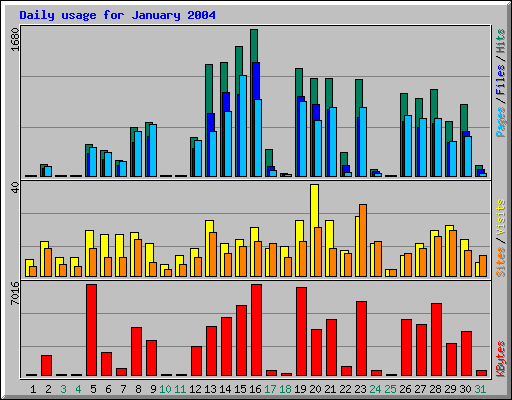 Daily usage for January 2004